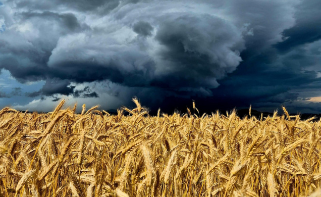 La Haute-Loire  : Vigilance orange pour la pluie et jaune pour les crues en conséquence. 