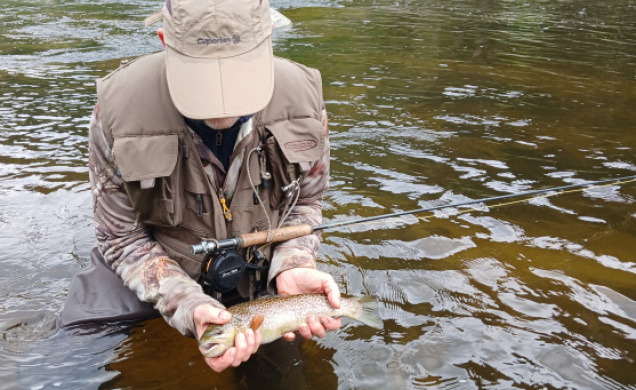 Les poissons se meurent dans l'indifférence totale. 