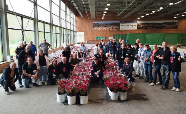 Les bénévoles sont déjà au travail pour préparer les roses