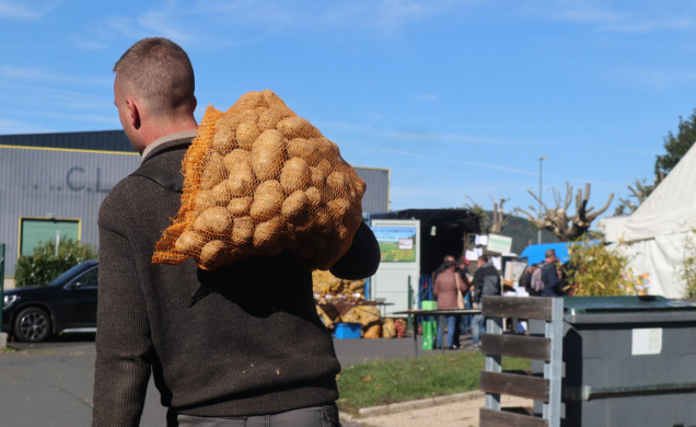 Les pommes de terre sont connues pour avoir la patate...