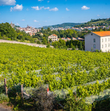 Afterwork au Clos du Paradis_Espaly-Saint-Marcel