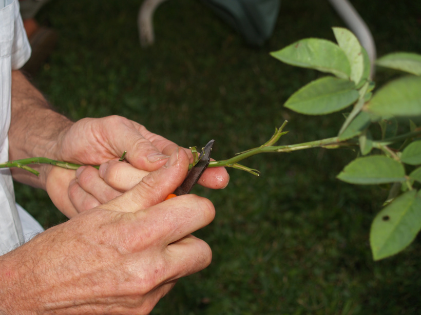 Une technique essentielle