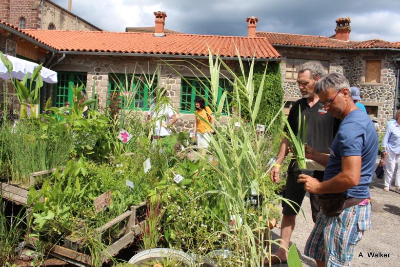 La fête des plantes a accueilli des milliers de visiteurs à Chavaniac-Lafayette les 4 et 5 juin 2022. 