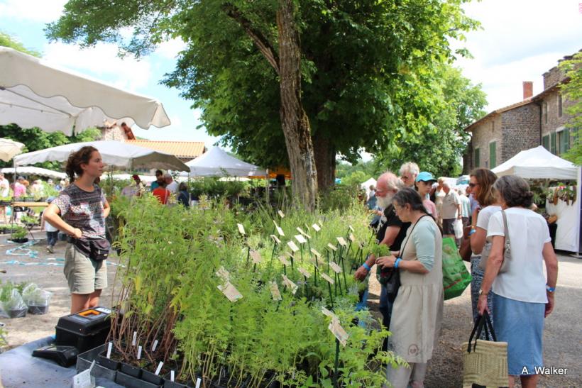 La fête des plantes a accueilli des milliers de visiteurs à Chavaniac-Lafayette les 4 et 5 juin 2022. 