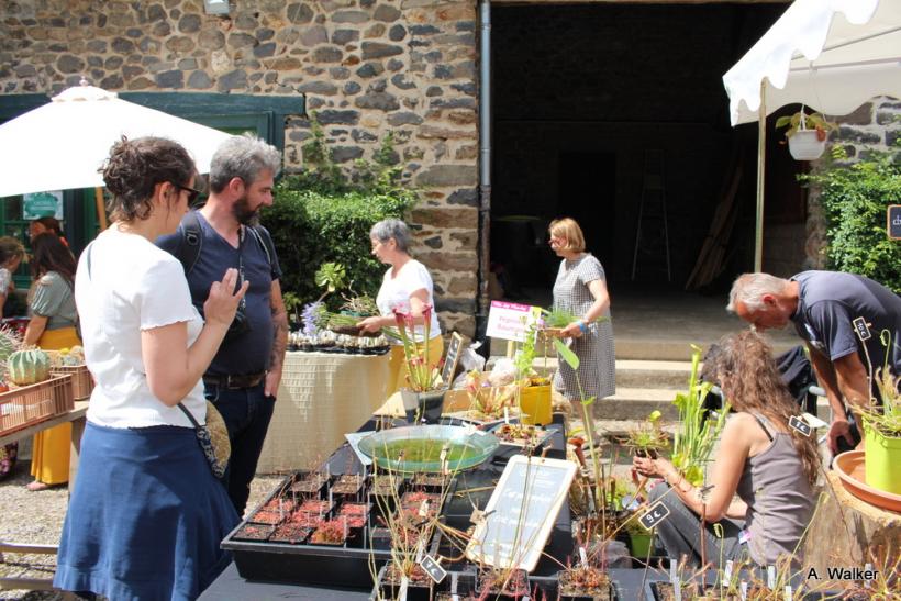 La fête des plantes a accueilli des milliers de visiteurs à Chavaniac-Lafayette les 4 et 5 juin 2022. 