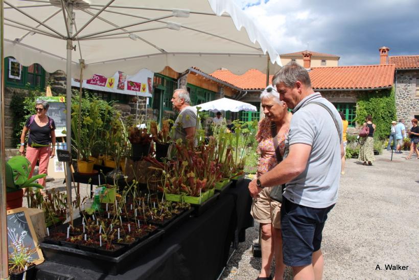 La fête des plantes a accueilli des milliers de visiteurs à Chavaniac-Lafayette les 4 et 5 juin 2022. 