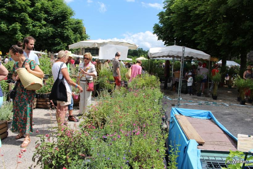 La fête des plantes a accueilli des milliers de visiteurs à Chavaniac-Lafayette les 4 et 5 juin 2022. 