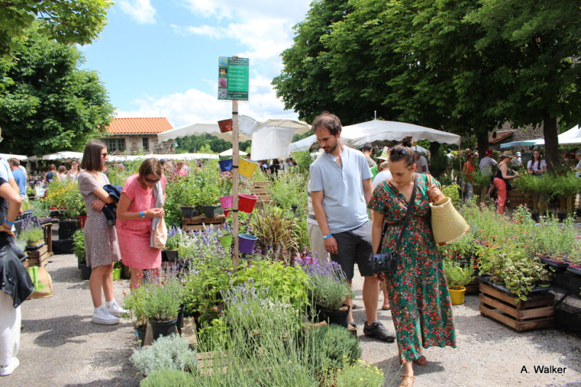 La fête des plantes a accueilli des milliers de visiteurs à Chavaniac-Lafayette les 4 et 5 juin 2022. 