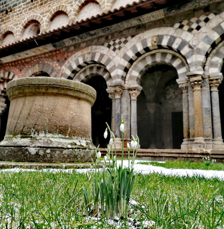 Le cloître du Puy avec des perce-neige