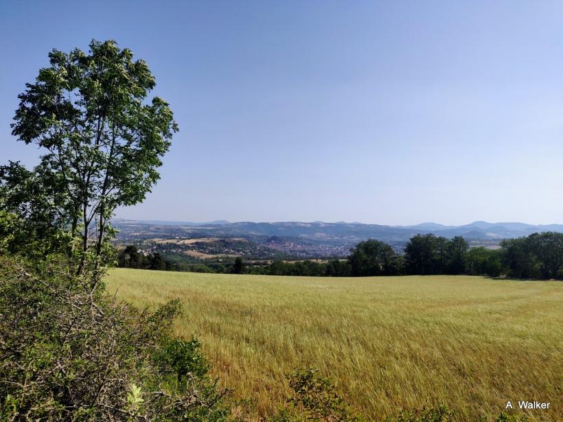 Sur le parcours de la Foulée des vignerons de Vals.