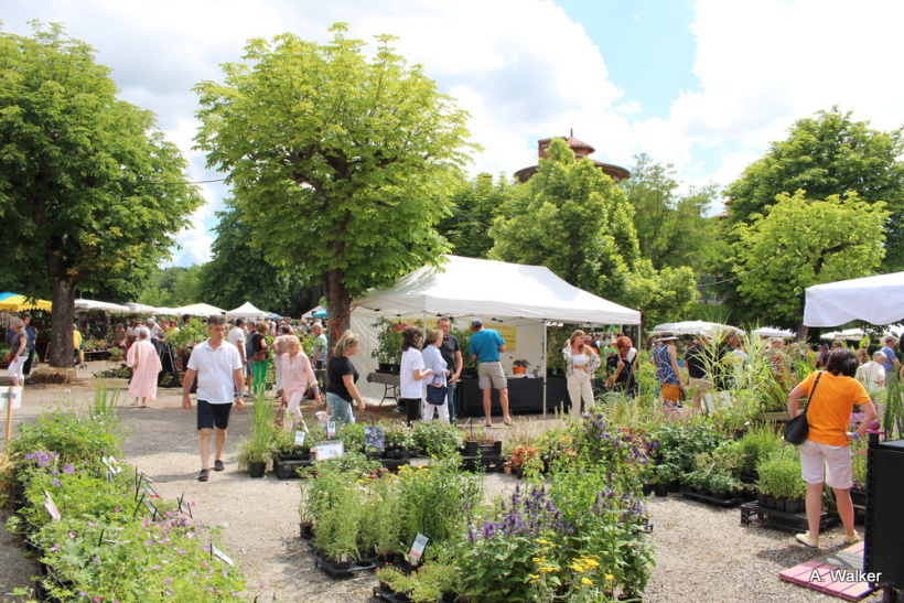 La fête des plantes a accueilli des milliers de visiteurs à Chavaniac-Lafayette les 4 et 5 juin 2022. 