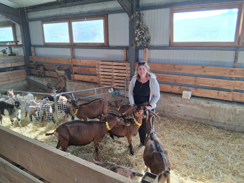 Lucie Kittler entourée de ses chèvres