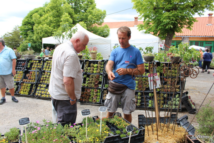 La fête des plantes a accueilli des milliers de visiteurs à Chavaniac-Lafayette les 4 et 5 juin 2022. 