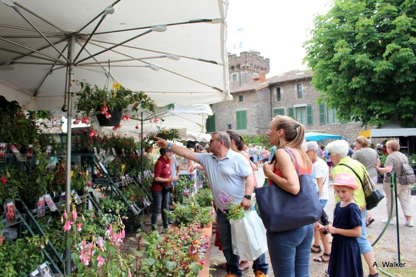 La fête des plantes a accueilli des milliers de visiteurs à Chavaniac-Lafayette les 4 et 5 juin 2022. 