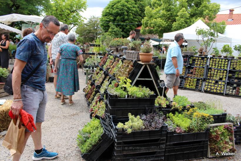 La fête des plantes a accueilli des milliers de visiteurs à Chavaniac-Lafayette les 4 et 5 juin 2022. 