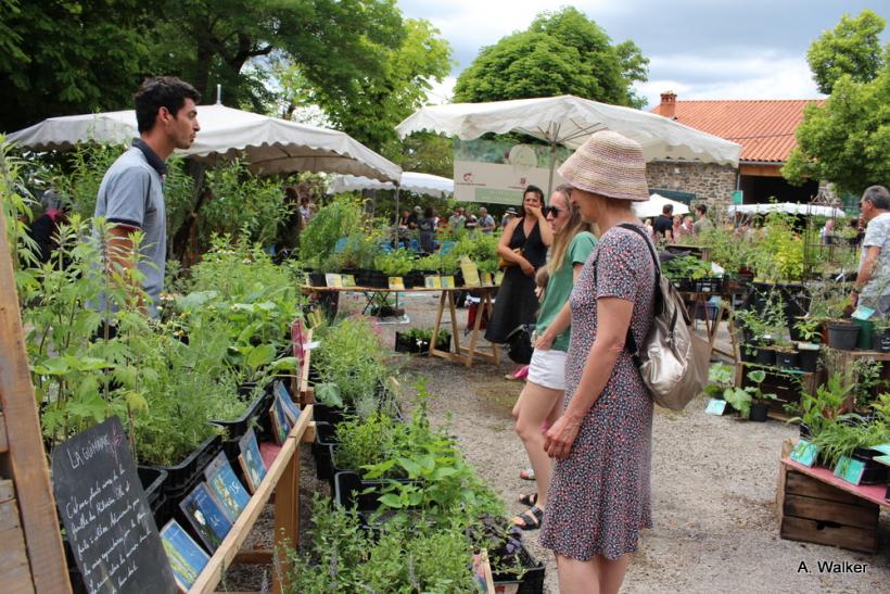 La fête des plantes a accueilli des milliers de visiteurs à Chavaniac-Lafayette les 4 et 5 juin 2022. 