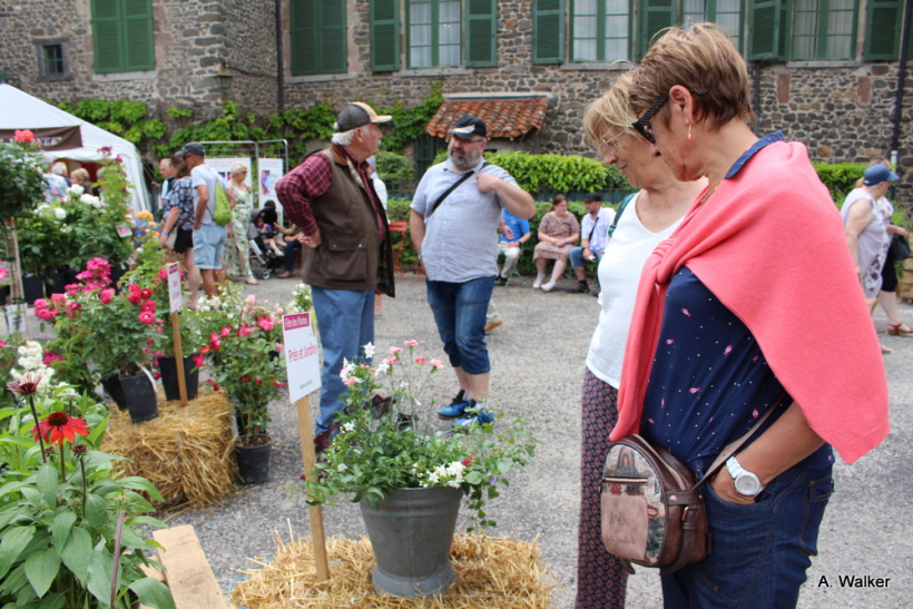 La fête des plantes a accueilli des milliers de visiteurs à Chavaniac-Lafayette les 4 et 5 juin 2022. 