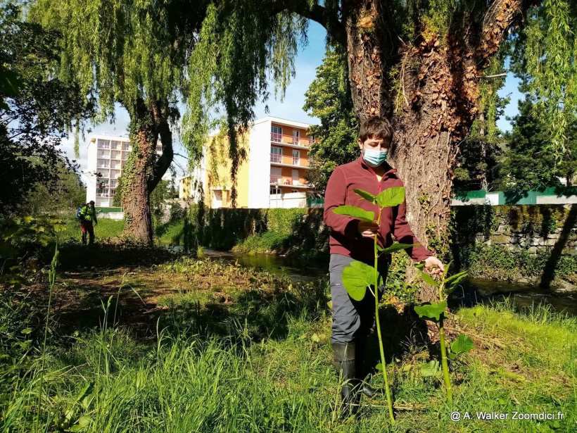 Jean-Michel Chapat est technicien de rivière de l’Epage Loire – Lignon