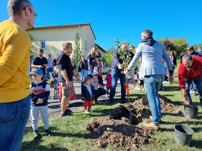 Des arbres plantés pour fêter les naissances dans la commune de Cussac-sur-Loire.
