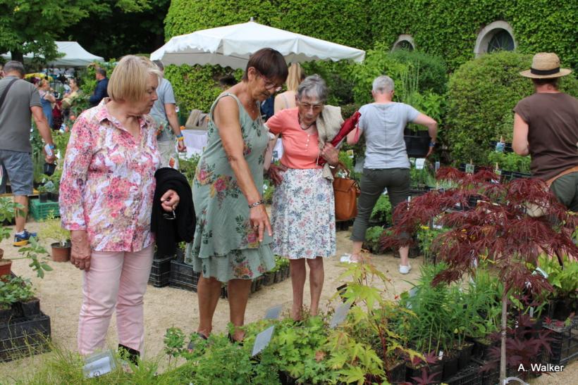 La fête des plantes a accueilli des milliers de visiteurs à Chavaniac-Lafayette les 4 et 5 juin 2022. 