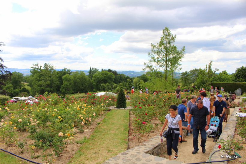 La fête des plantes a accueilli des milliers de visiteurs à Chavaniac-Lafayette les 4 et 5 juin 2022. 