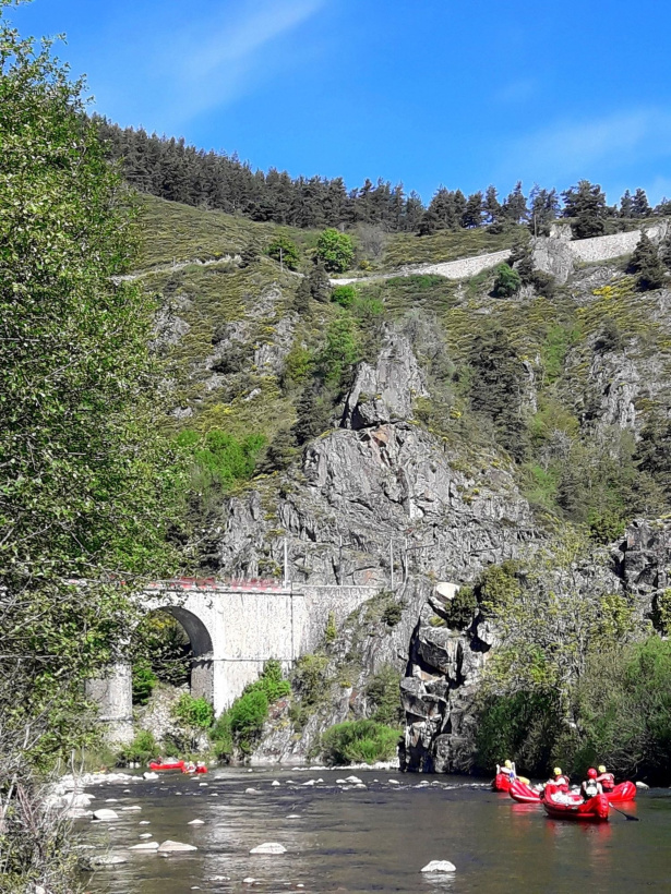 Alevinage dans l'Allier à bord de canoës.