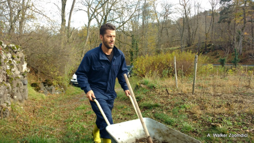 L'apport de fumier composté a mobilisé les adhérents en novembre 2020