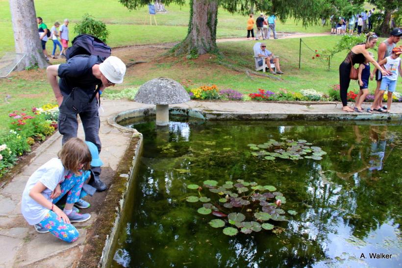 La fête des plantes a accueilli des milliers de visiteurs à Chavaniac-Lafayette les 4 et 5 juin 2022. 