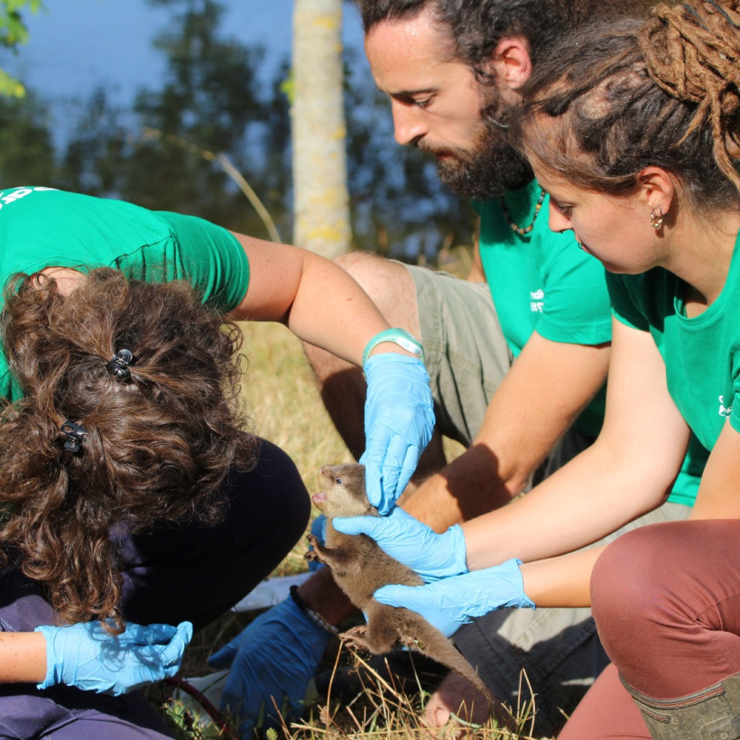 Le personnel du parc animalier avec un bébé loutre.