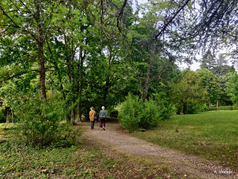 Le Bois de Bonneterre à Guitard.