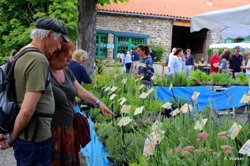 La fête des plantes a accueilli des milliers de visiteurs à Chavaniac-Lafayette les 4 et 5 juin 2022. 