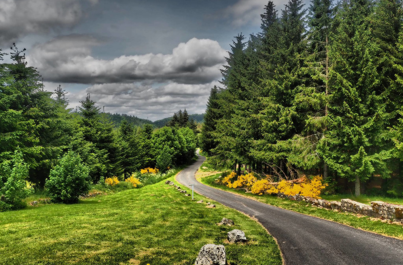 La forêt peut s'avérer être une source de tensions, si mal utilisée. 