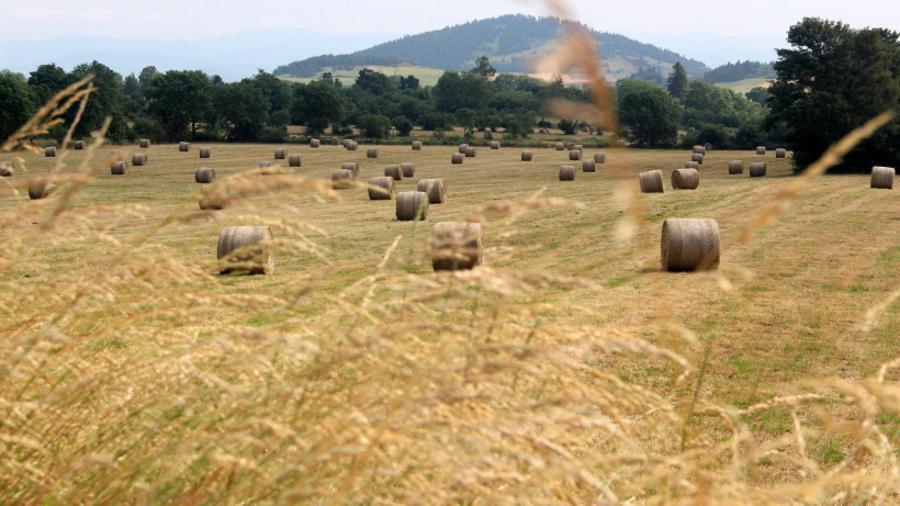 Les surfaces agricoles représentent 47 % du territoire de la Haute-Loire.