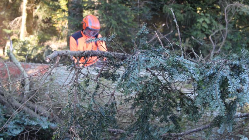 L'accident mortel a eu lieu en 2016 dans un bois de Chanteuges.