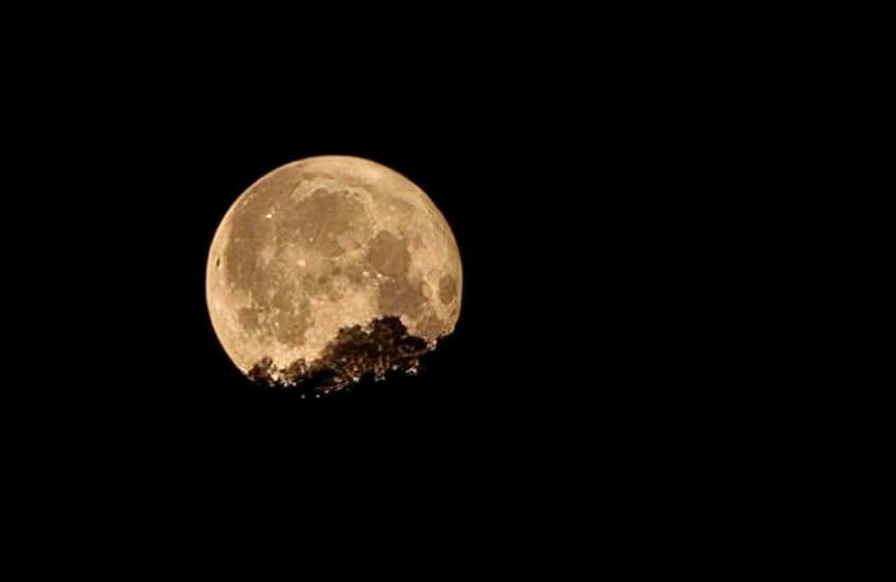 La peau de la lune se dévoile pleinement aux regards des terriens. 
