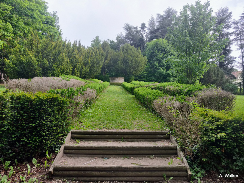 Le Bois de Bonneterre à Guitard.