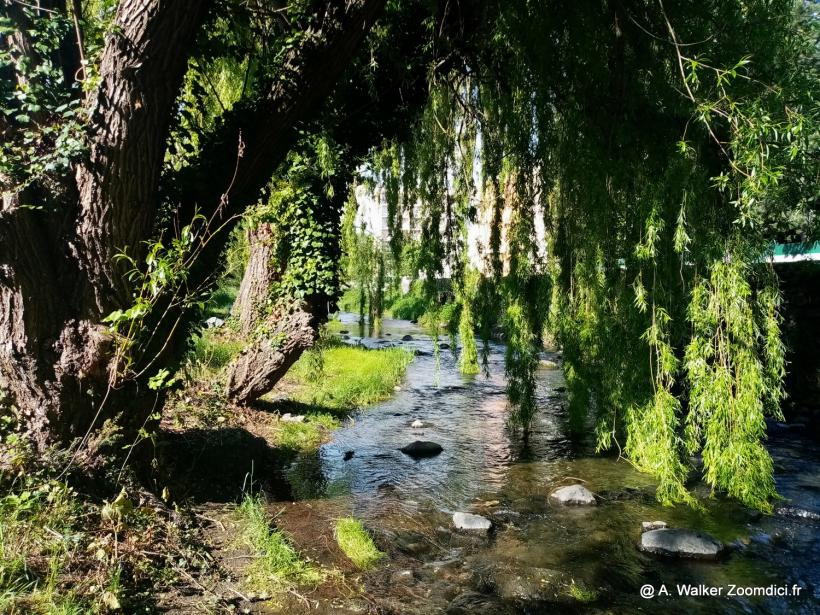 Les berges du Dolaizon à Vals.