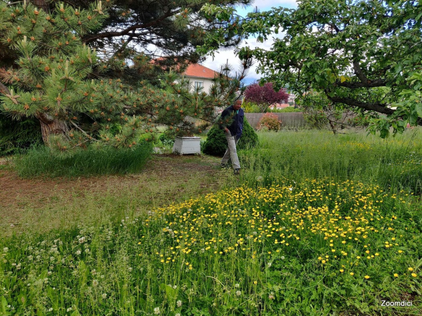 Le jardin associatif des Sokokis à Vals a ouvert ses portes aux visiteurs.