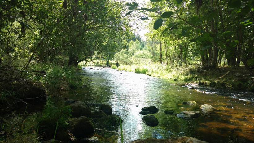 Le Lignon au pont de l'enceinte à Yssingeaux.