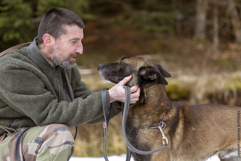 Chien brigade de recherche