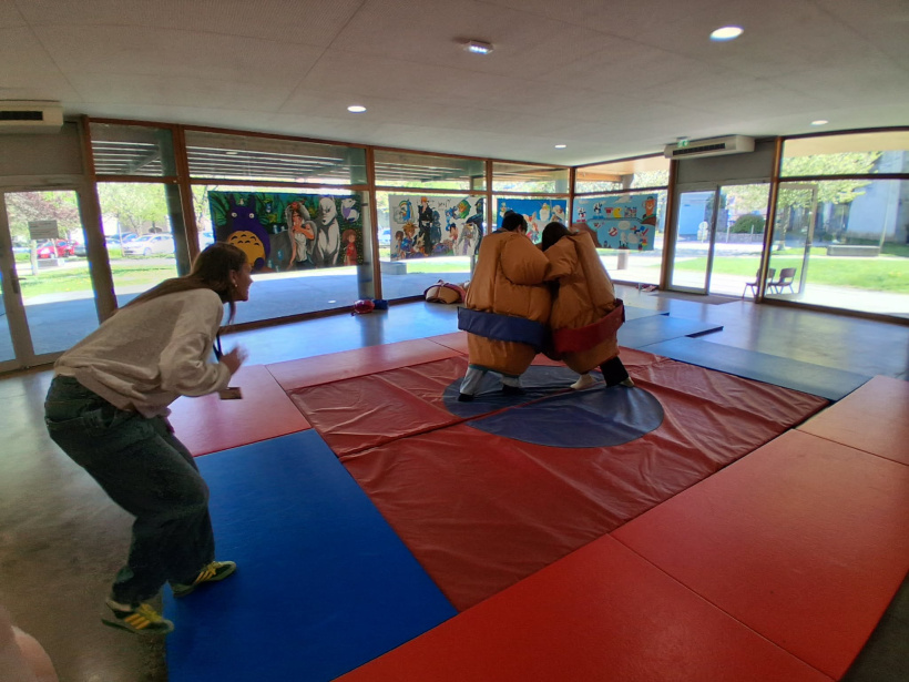 Un combat de sumo accroché