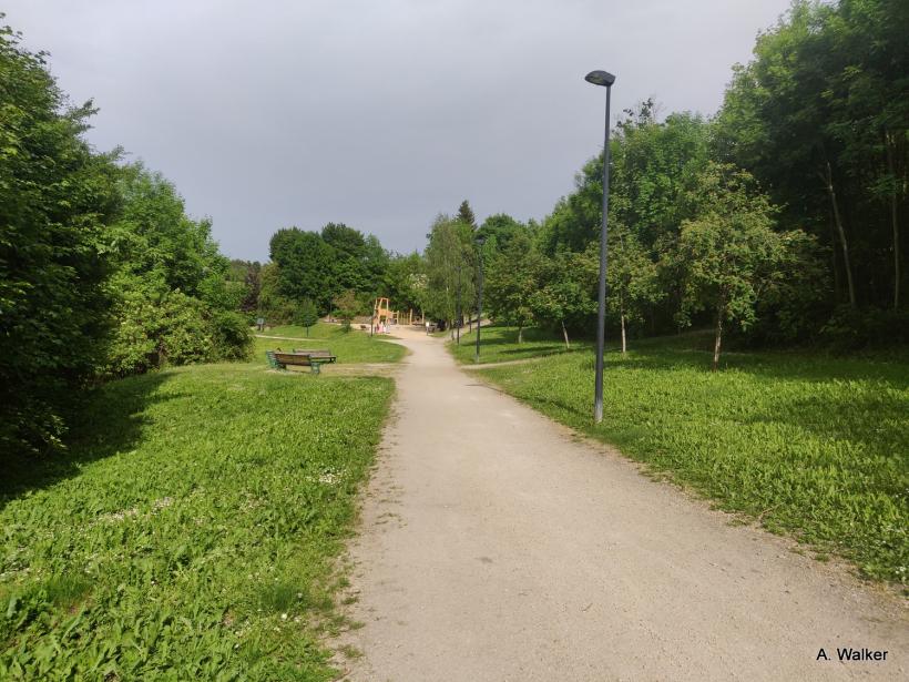 Le Bois de Bonneterre à Guitard.