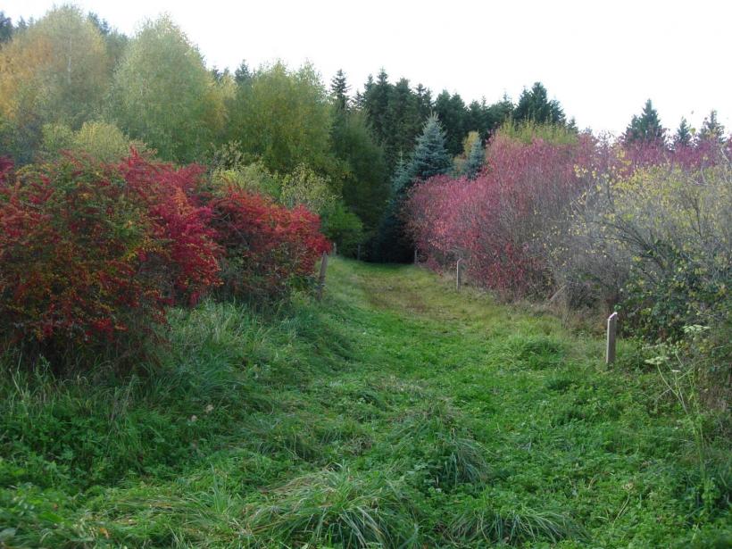 Arboretum de Charvols