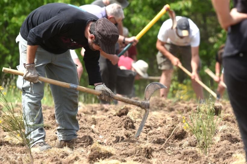 Les participants ont apporté leurs propres outils pour creuser la terre.