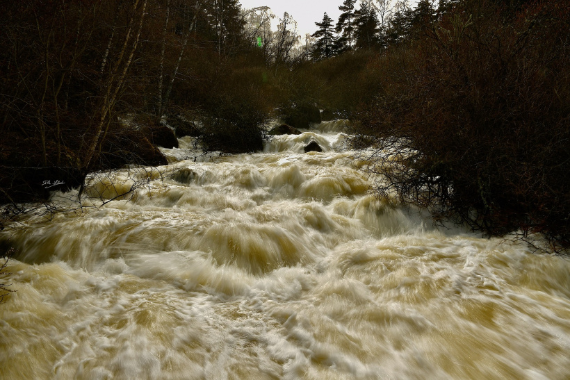 De l'eau, de la vie, des pulsations dans la rivière du Chapeauroux. 