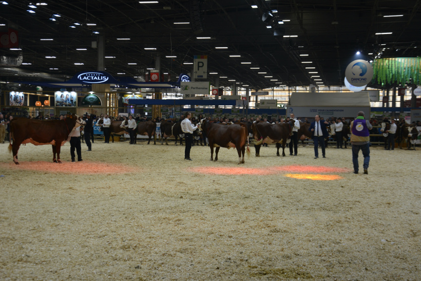 Salon de l'agriculture à Paris 2023