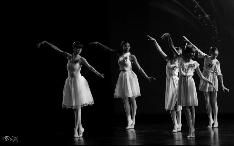 Les trois écoles de danse du Puy-en-Velay ont présenté un spectacle commun.