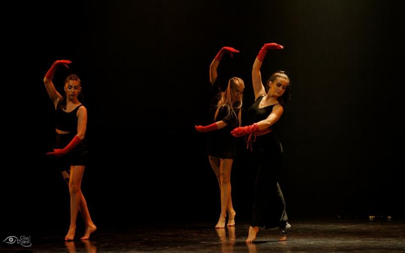 Les trois écoles de danse du Puy-en-Velay ont présenté un spectacle commun.