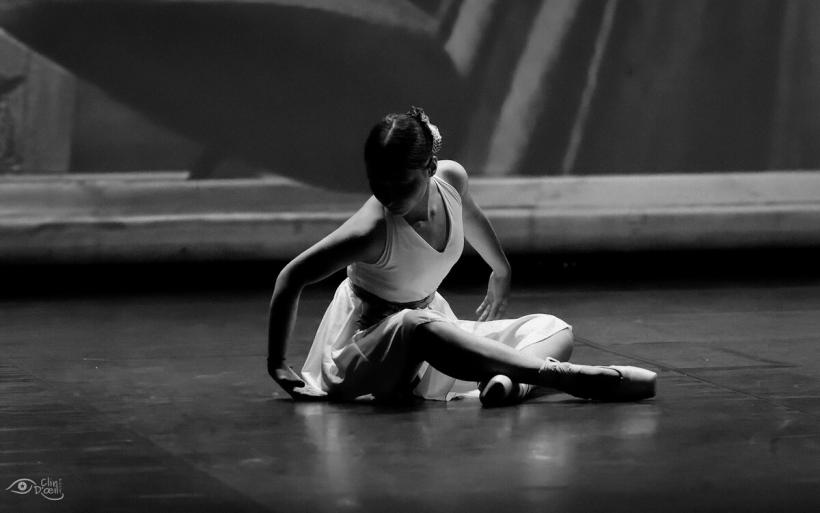 Les trois écoles de danse du Puy-en-Velay ont présenté un spectacle commun.