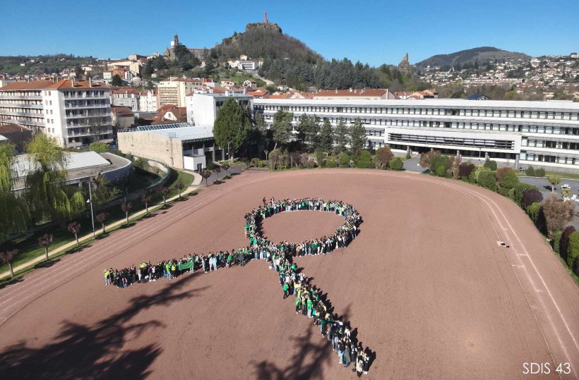 Le symbole XXL du don d'organe dans la cour de l'établissement scolaire Simone Weil. 